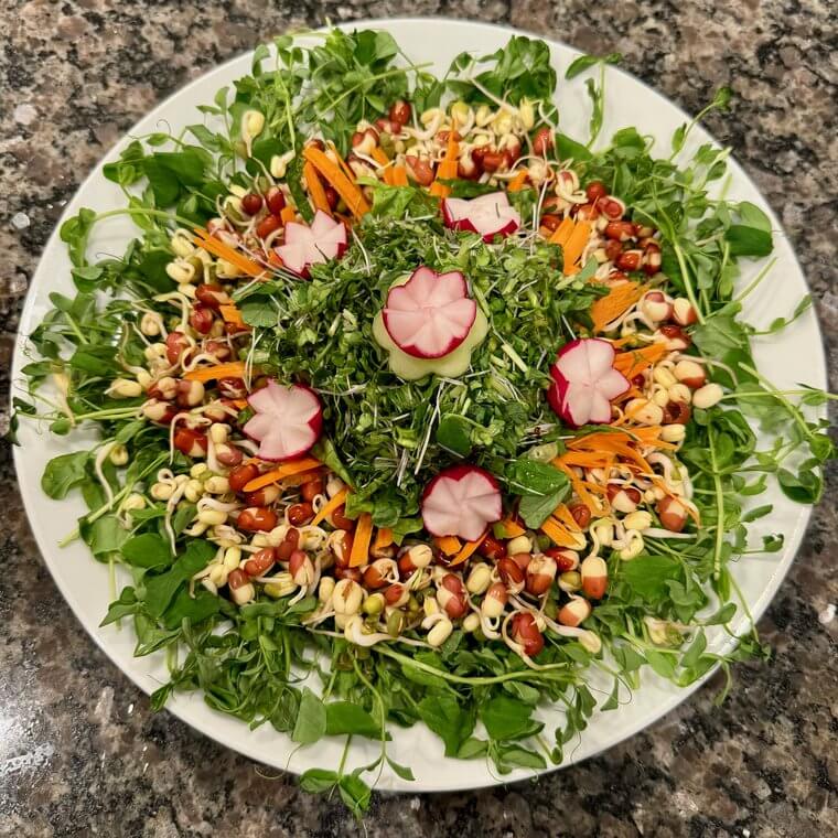 Raw vegan salad topped with radish roses over greens, carrot, and walnuts