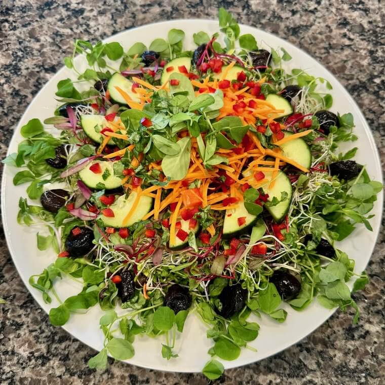 Round raw vegan salad with avocado, black olives, carrot, and sprouts