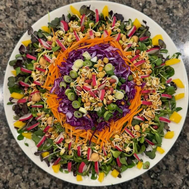 Round raw vegan salad with purple cabbage, carrot ribbons, radish, and yellow pepper