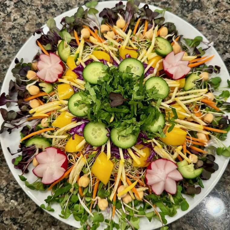 Raw vegan salad with radish flowers, yellow pepper, cucumber, and carrot