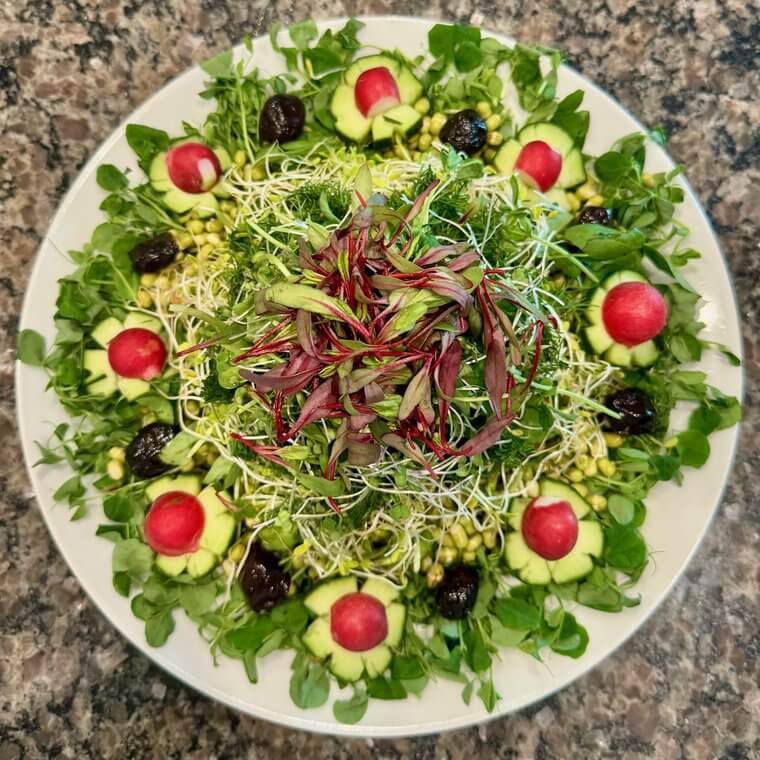 Round raw vegan salad with sprouts, avocado, and whole radishes