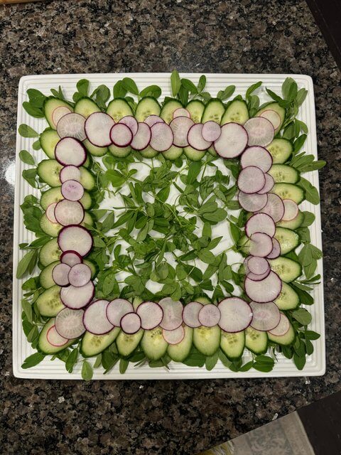 Greens framed by rings of cucumber and radish slices